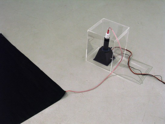 Dane Mitchell detail