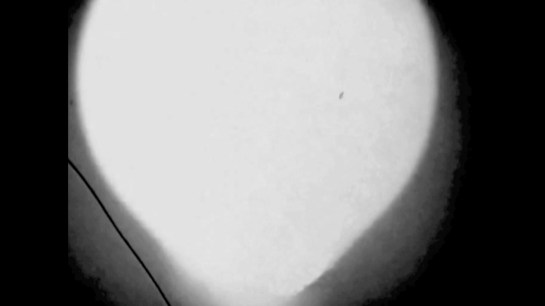 et al. Screen view 1